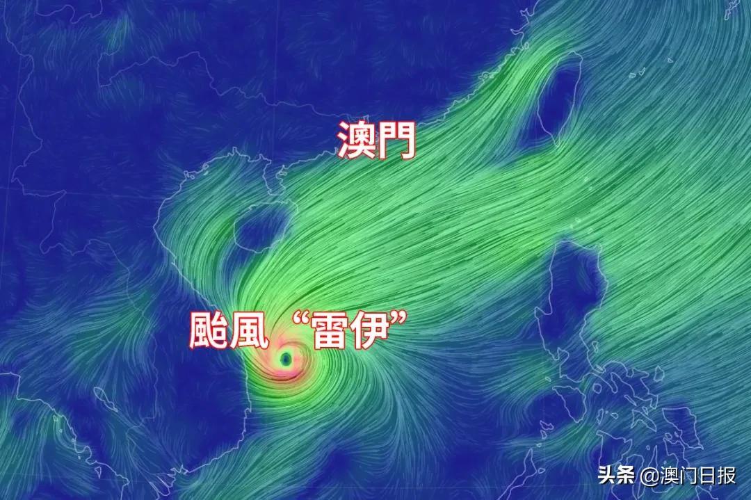 今晚澳门9点35分开什么｜准确资料解释落实