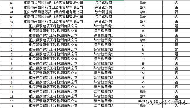 荣昌区招聘网最新招聘动态深度解读与分析